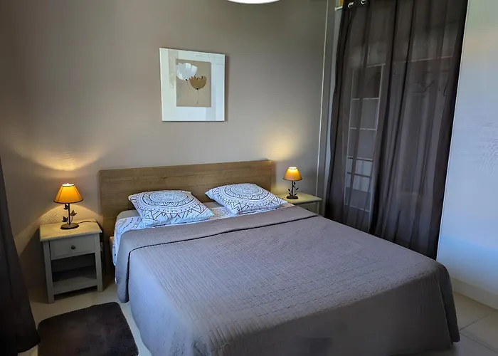 La Bonne Chauffe-col De Cygne