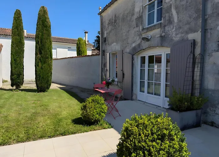 La Bonne Chauffe-col De Cygne Verrieres (Charente)